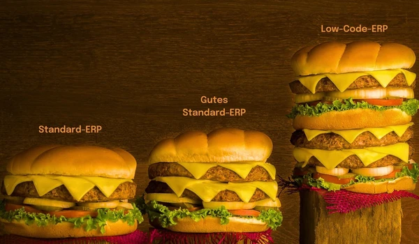 Bewährtes beherrschen, Neues ermöglichen: ERP-Standards sind mit Low Code kein Problem