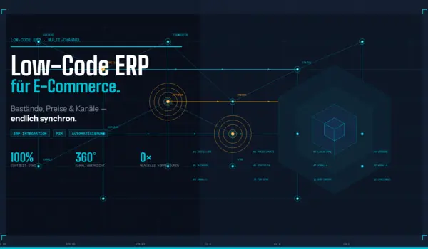 Low-Code-ERP für effizienten Multi-Channel-E-Commerce