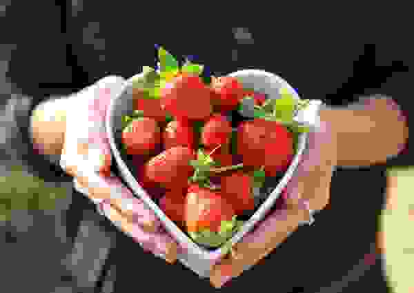 Erdbeeren in einer Schale